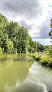 Мои мысли мои скакуны. Размышления о том и о сем.