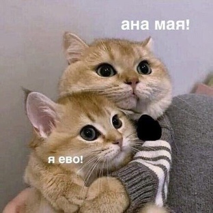 ВЕСЕЛО