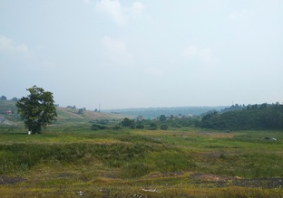 Гурьевский район