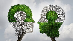 Психология мышления 