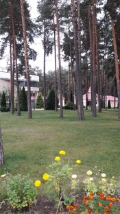 Анекдоты про хохлов