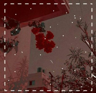 Тренды