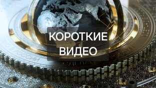 shorts  Сделано в России
