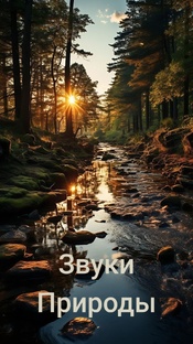 Звуки природы