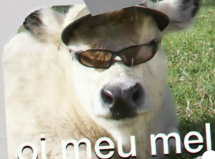 MA_RK(: