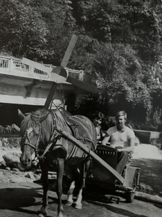 Истории из жизни 