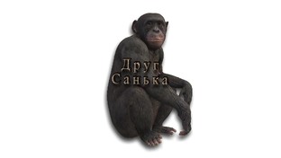 истинному ценителю - разностороннего творчества