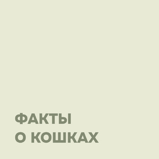 Факты о кошках