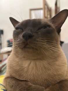 Четыре круга рассмотрения дела - возможно ли?