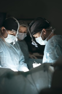 ОТОПЛАСТИКА