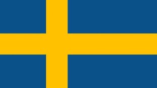 Бои на шведских танках