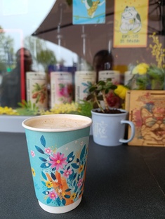 Где поесть в Судаке 2025?