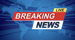 Приключения «Гуся и Марсика»