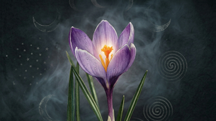 Зелёная мифология