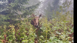 Походы по Уралу