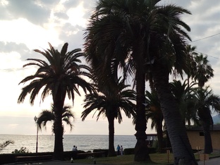 Красавица Абхазия