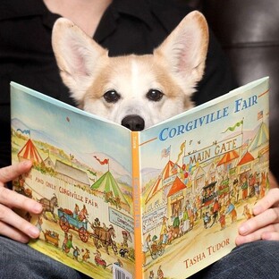 Интересные статьи