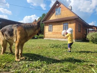 Жизнь в деревне