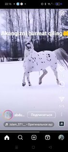повар 