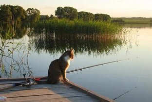 Виктор Левашов
