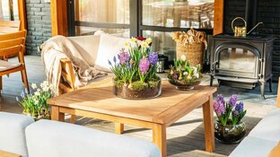 Загород в столице