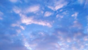 День за днём - 2024