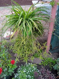 Разные заметки