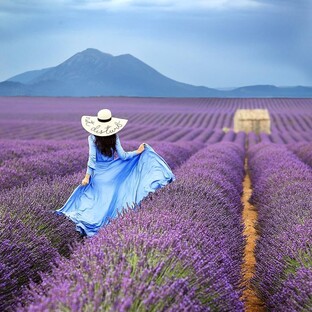 ТВОЯ ГАРМОНИЧНАЯ ВСЕЛЕННАЯ