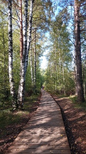 Экотропы