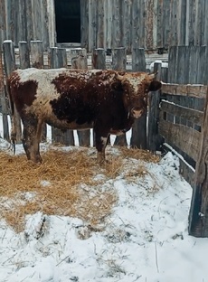 Наше хозяйство