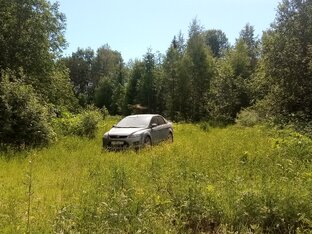 Туризм на автомобиле