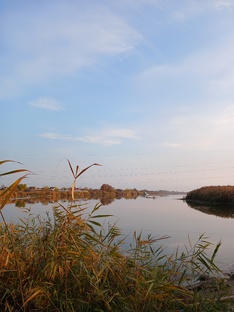 Рыбалка  🎣🌱