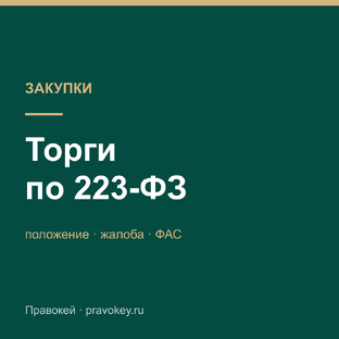 Торги по 223-ФЗ