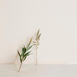 ВнеВозраста