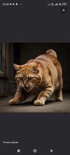 Хроники дикого Кирилла