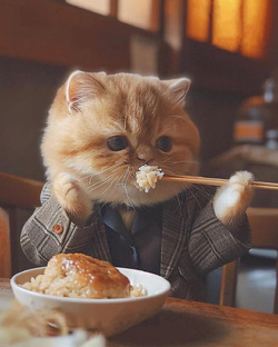 Нейро-котики любят покушать))