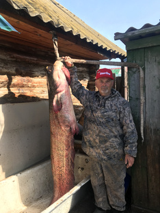 Сомик номер 3