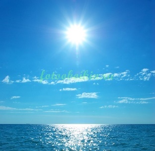 Кукла месяца