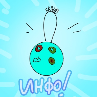 (‼️ВАЖНО‼️) ~°¶Инфо: ВКВИО📿¶°~