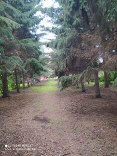 Мы дети природы