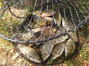 Футболисты на рыбалке 