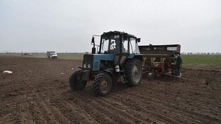 Новости сельского хозяйства России