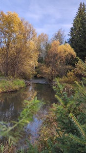 Прогулки, отдых на природе