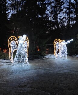 Дело врачей ☀️