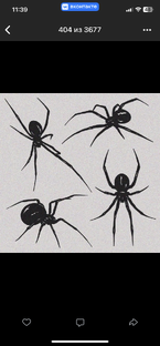 мое сокровище 