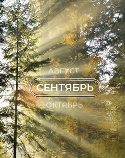 СЕНТЯБРЬ 2025