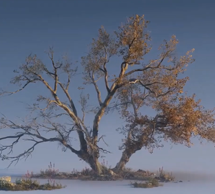CreatingSceneSpeedTree