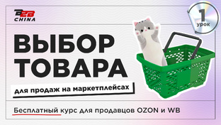 Бесплатный курс по маркетплейсам Ozon и Wildberries