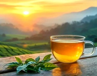 Мои стихи ✒