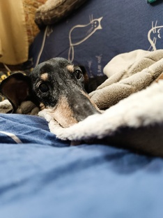 Дневники Капельки